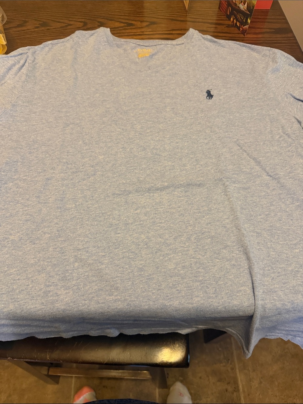 Polo by Ralph Lauren Heather Sky Blue V-Neck Men's Tee